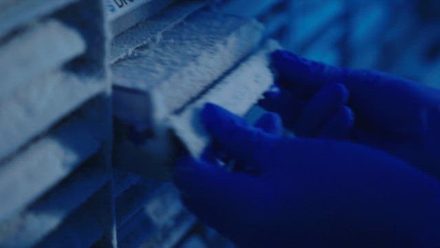 Freezer filled with samples from people's DNA database