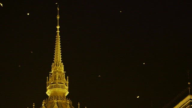 Night view of a cathedral's spire with butterflies flying around