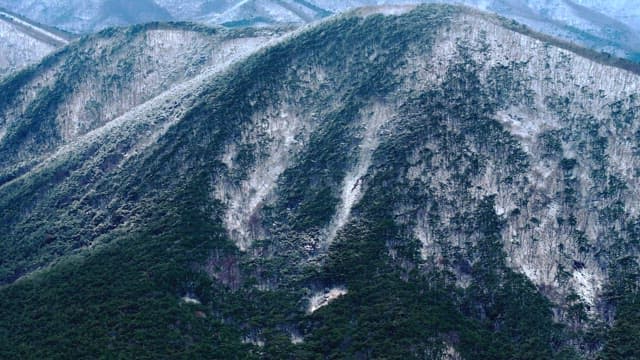 Snow-covered mountains and forests under cloudy skies