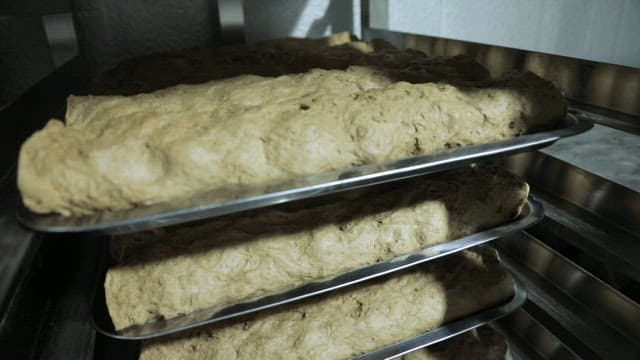 Dough resting on trays of oven in a bakery