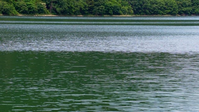 Calmly flowing waves of the lake