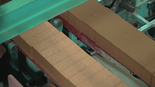 Bricks moving on a conveyor belt