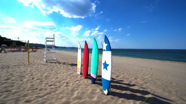 Surfboards lined up on a sunny beach day