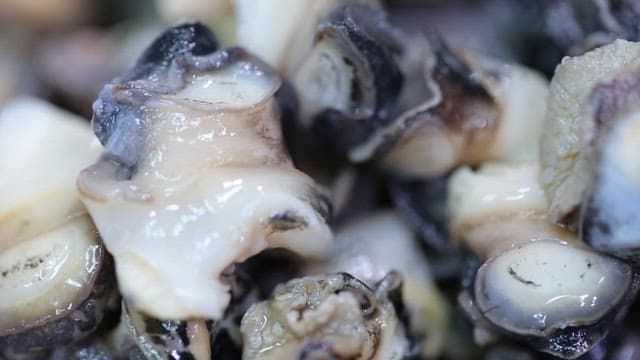 Close-up of fresh freshwater snail pieces