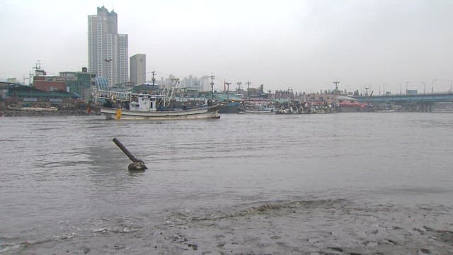 Fishing boats docked at overcast urban waterfront