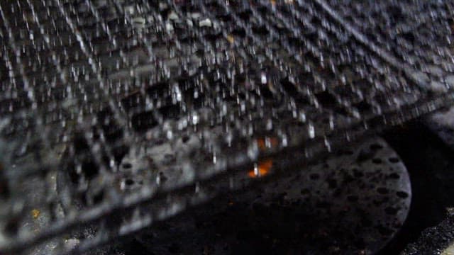 Seasoned pork intestines on a plate on a grill