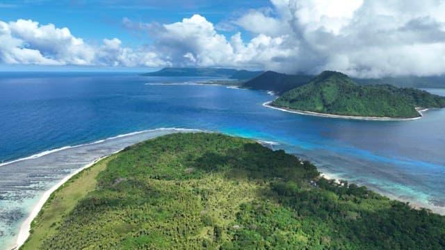 Tropical island with lush greenery and clear blue waters on a sunny day