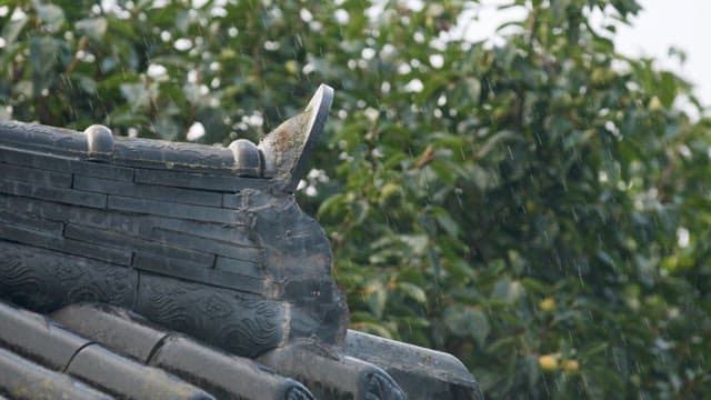 Traditional Korean roof in the rain