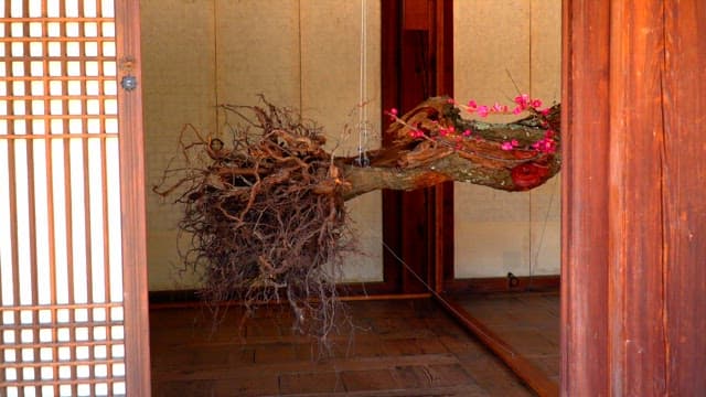Hanok with a fluttering pink plum blossom branch decoration