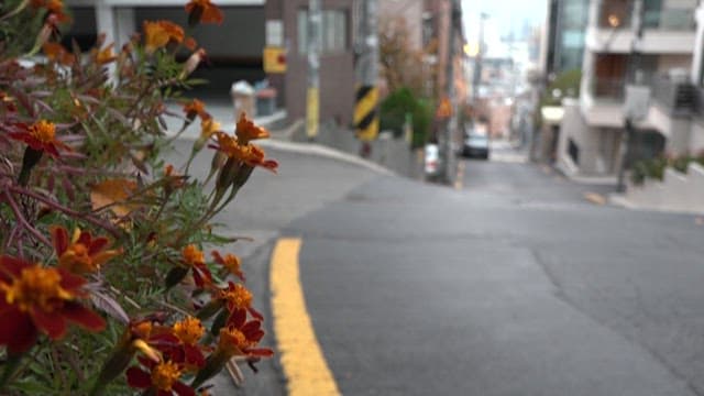 Quiet residential alley scene