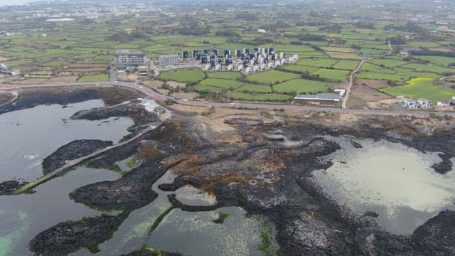 Coastal village with green fields and ocean