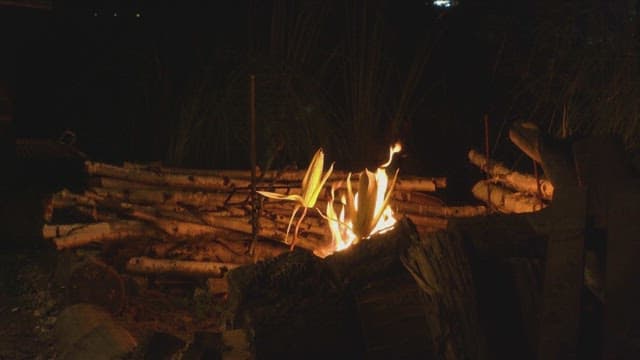 Corn roasting over an open campfire