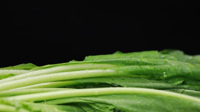 Refreshing kimchi soup made with fresh young radish