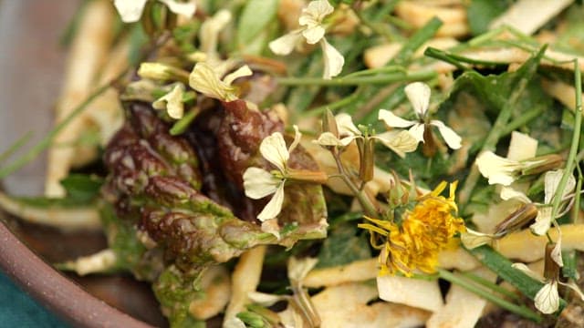 Close-up of diverse salad greens with flowers in a rustic bowl