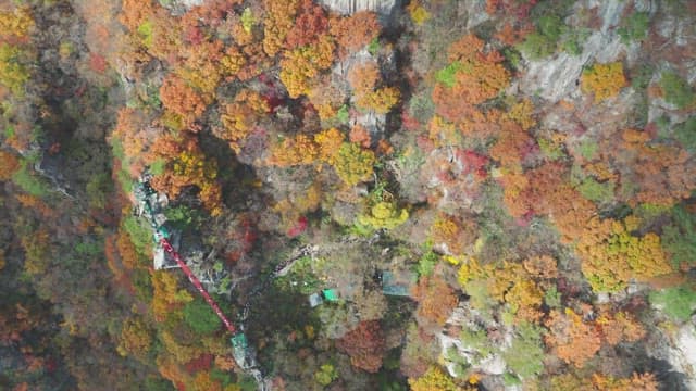 Colorful autumn mountain with rocky cliffs