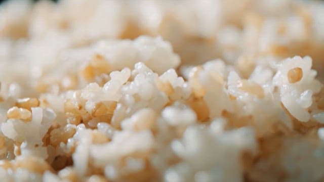 Bowl of Shiny and Moist Steamed Brown Rice