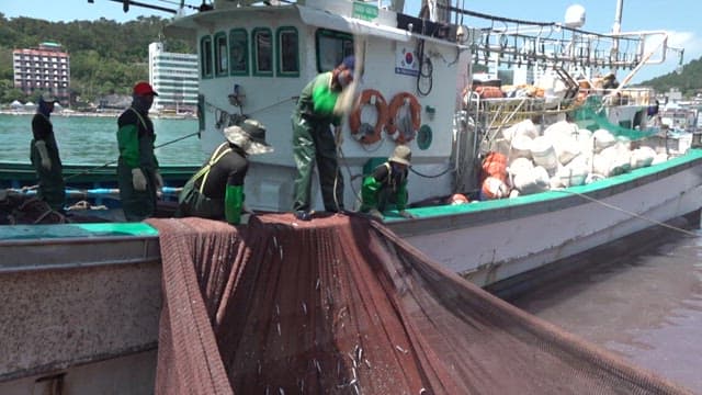 Fishing boat's net full of freshly caught fish