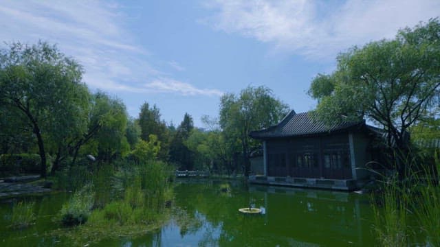 Serene Traditional Garden with Pond