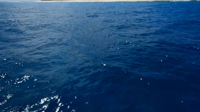 Serene view of the ocean with a lush green island in the distance