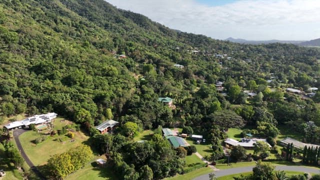 Aerial view of a lush green forest with accommodations