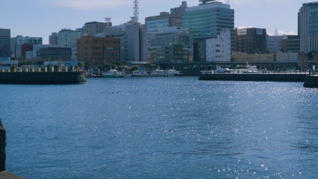 Sparkling Waterfront and City Buildings on a Sunny Day