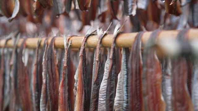 Fish drying on racks in an outdoor facility
