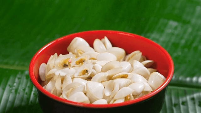 Bowl of fresh clams on a green leaf