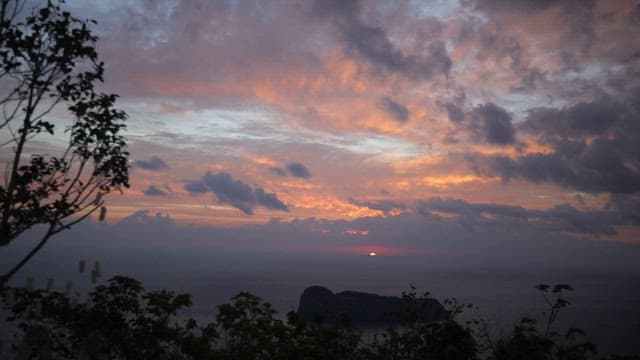 Sunset View Over the Ocean from Forest