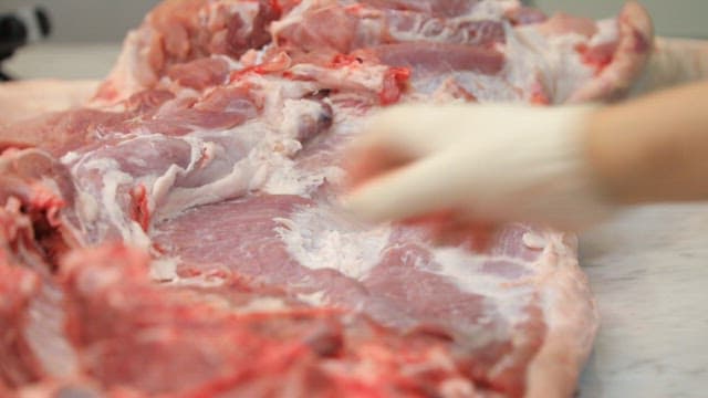 Person handling raw pork meat on a marble countertop