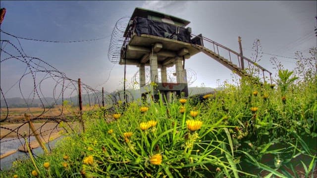 Watchtower Overlooking Barbed Wire and Flowers