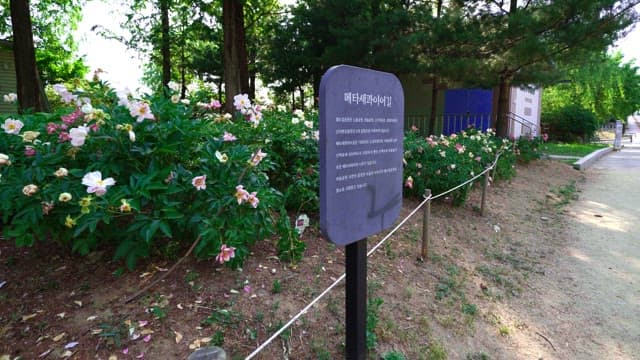 Information board in a park with a flower garden and green trees
