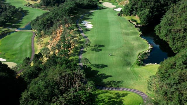 Golf Course Amidst Dense Greenery