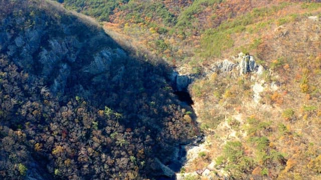 Mountainous area with dense forest and rocky cliffs on a clear day