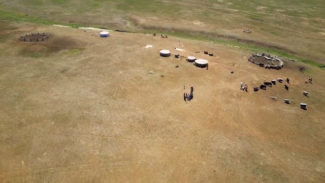 Landscape with yurts and livestock