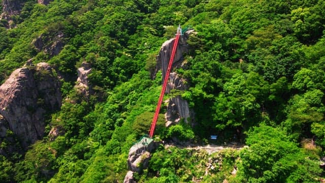 Tourists climbing the red steps in a mountain covered with lush green trees