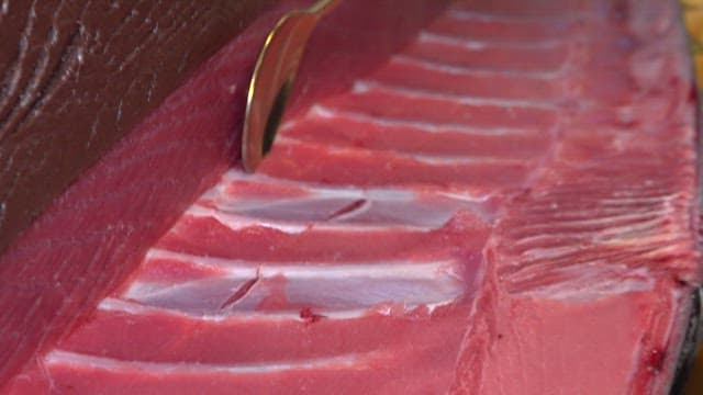 Fresh red tuna fillet being prepared with a spoon
