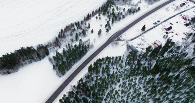 Snowy road through a winter forest