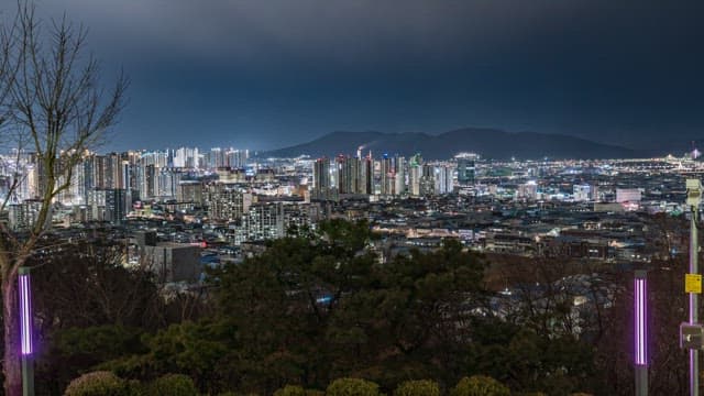 Cityscape at Night from a Viewpoint