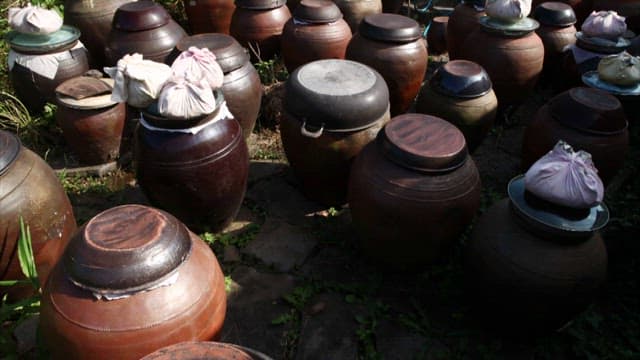 Multiple traditional Korean crocks used for fermentation