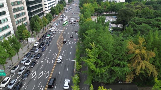 Road full of cars in a city center with lush greenery