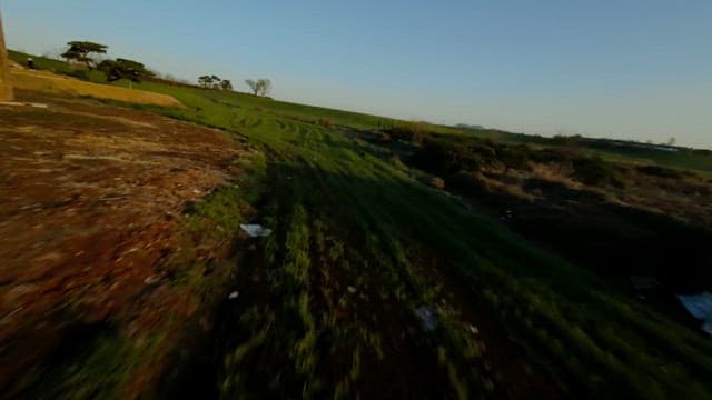 Vast Green Fields Under Blue Sky