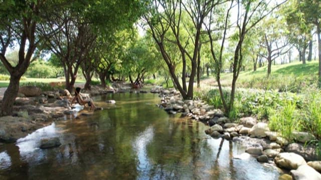 Serene Moment by a Gentle River