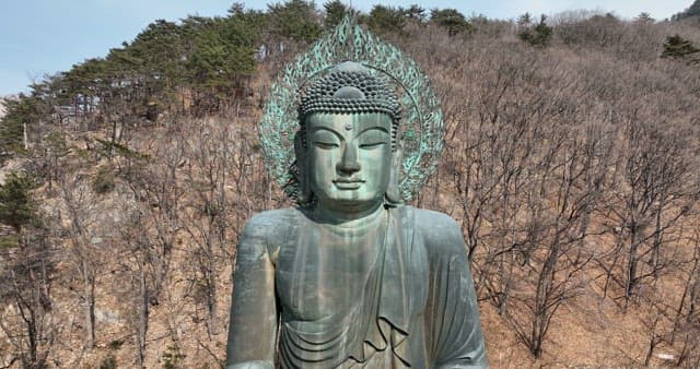 Magnificent Buddha Statue in Harmony with Nature