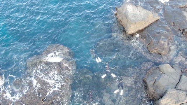 Divers exploring near a rocky shore on a sunny day