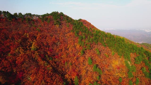 Autumn Foliage Blanketing Mountainous Landscape