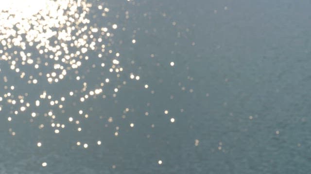 Sunlight reflecting and sparkling on calm water surface