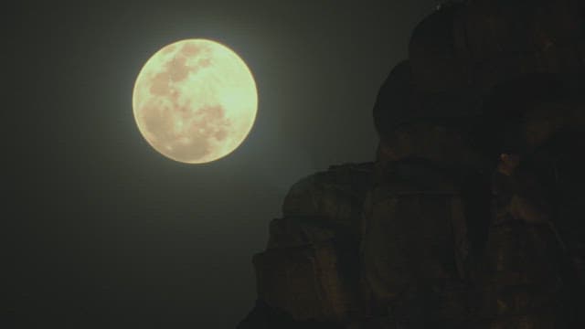 Monkey Sitting on Rock Under a Full Moon