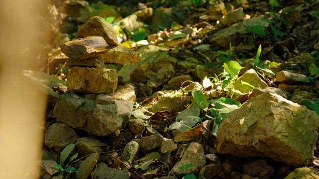 Stack of balanced stones in a sunlit forest