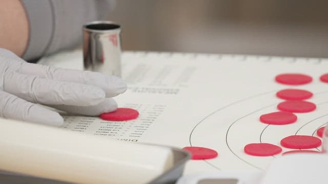 Gloved hands shaping icing into decorative flowers on a baking mat