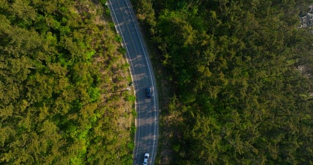 Cars Driving Through Scenic Forest Road